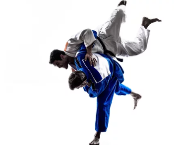 Adult Judo class