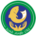 Scoil Aoife  Citywest & Cabra Judo Club